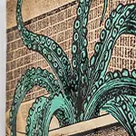 Octopus Kamienny Potok *