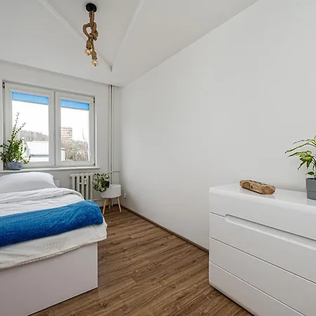 Octopus Kamienny Potok סופוט