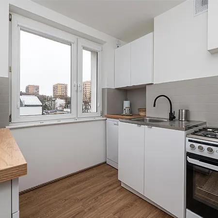 Octopus Kamienny Potok * סופוט