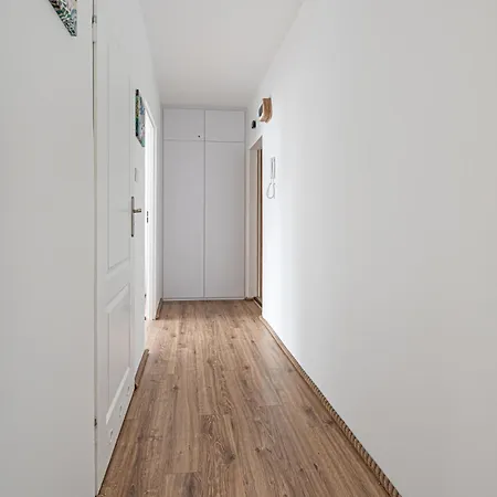 Octopus Kamienny Potok *