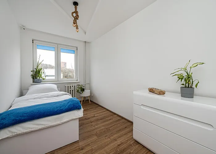 Octopus Kamienny Potok Сопот