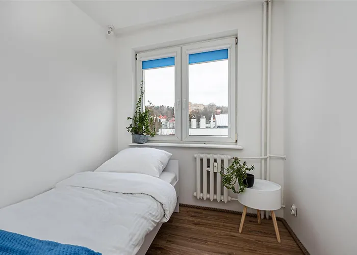 Octopus Kamienny Potok Сопот