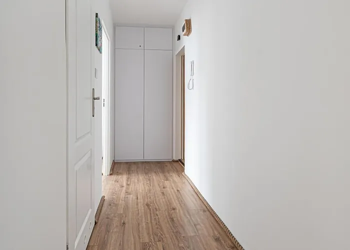 Octopus Kamienny Potok *